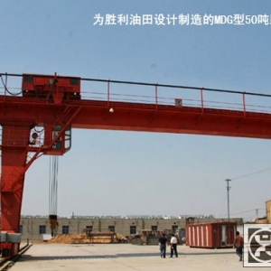 MDG - single girder gantry crane