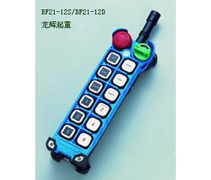 Taiwan YuDing explosion-proof remote control remote control BF21-12d/BF21-12s